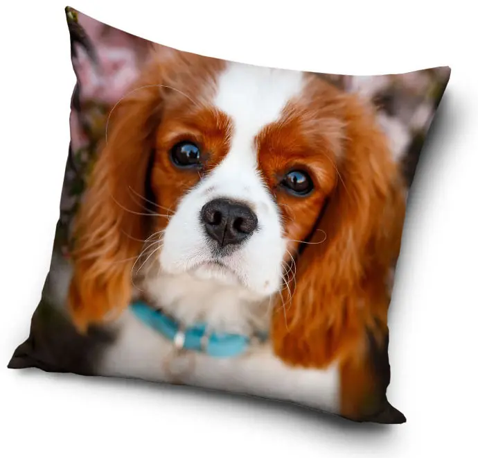 Kutyás párnahuzat 40*40 cm termékfotó