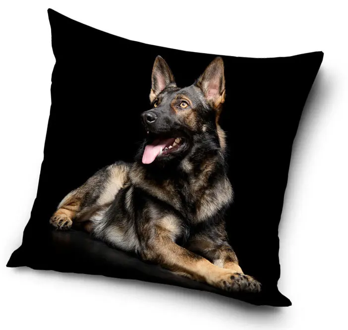 Kutyás párnahuzat 40*40 cm termékfotó