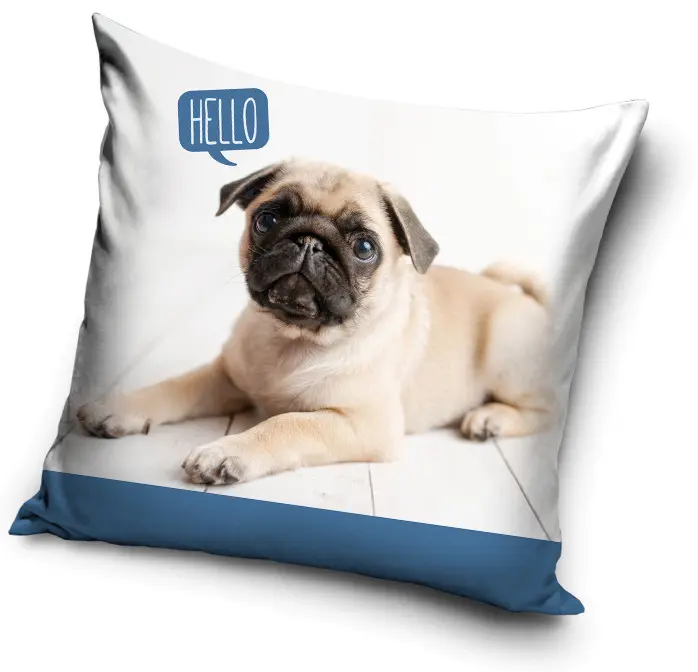 Kutyás párnahuzat 40*40 cm termékfotó