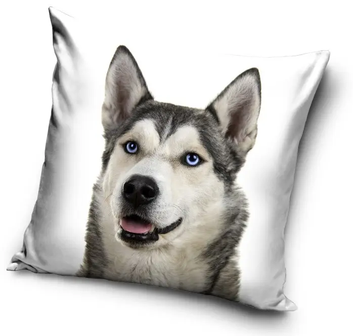 Kutyás párnahuzat 40*40 cm termékfotó