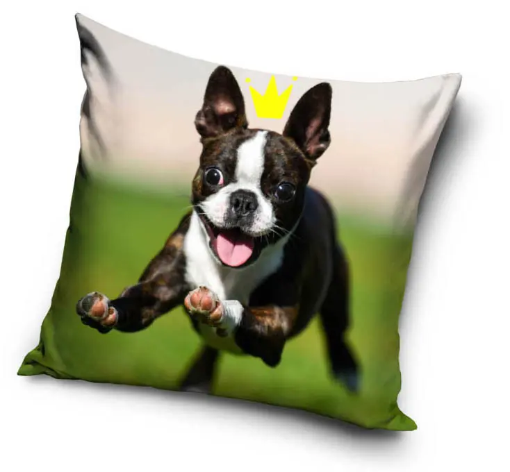 Kutyás párnahuzat 40*40 cm termékfotó