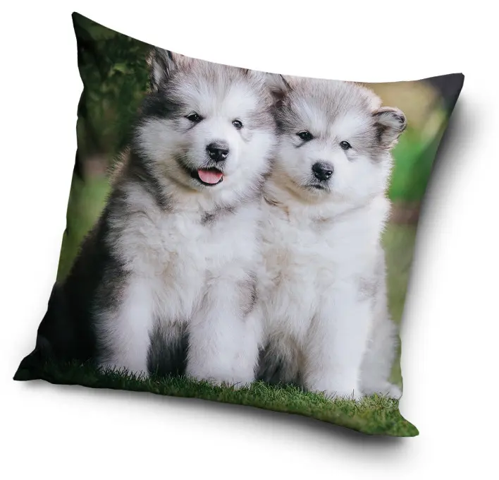 Kutyás párnahuzat 40*40 cm termékfotó