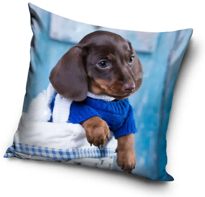 Kutyás párnahuzat 40*40 cm termékfotó