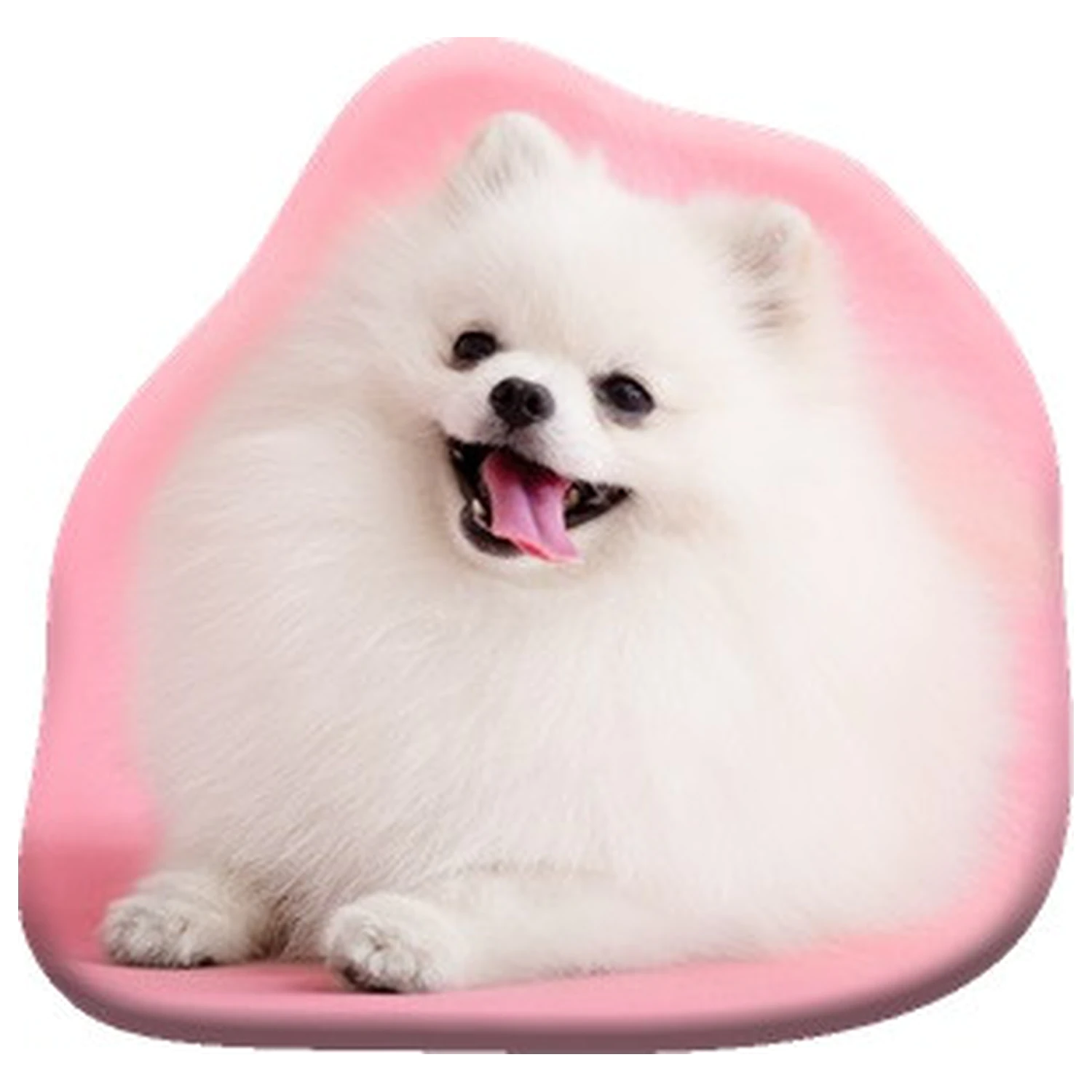 Kutyás Pomeranian formapárna, díszpárna termékfotó