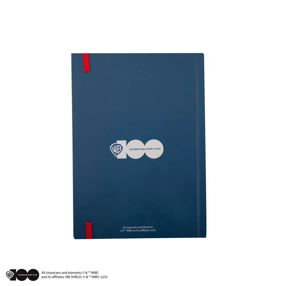 Looney Tunes Tom and Jerry jegyzetfüzet termékfotó