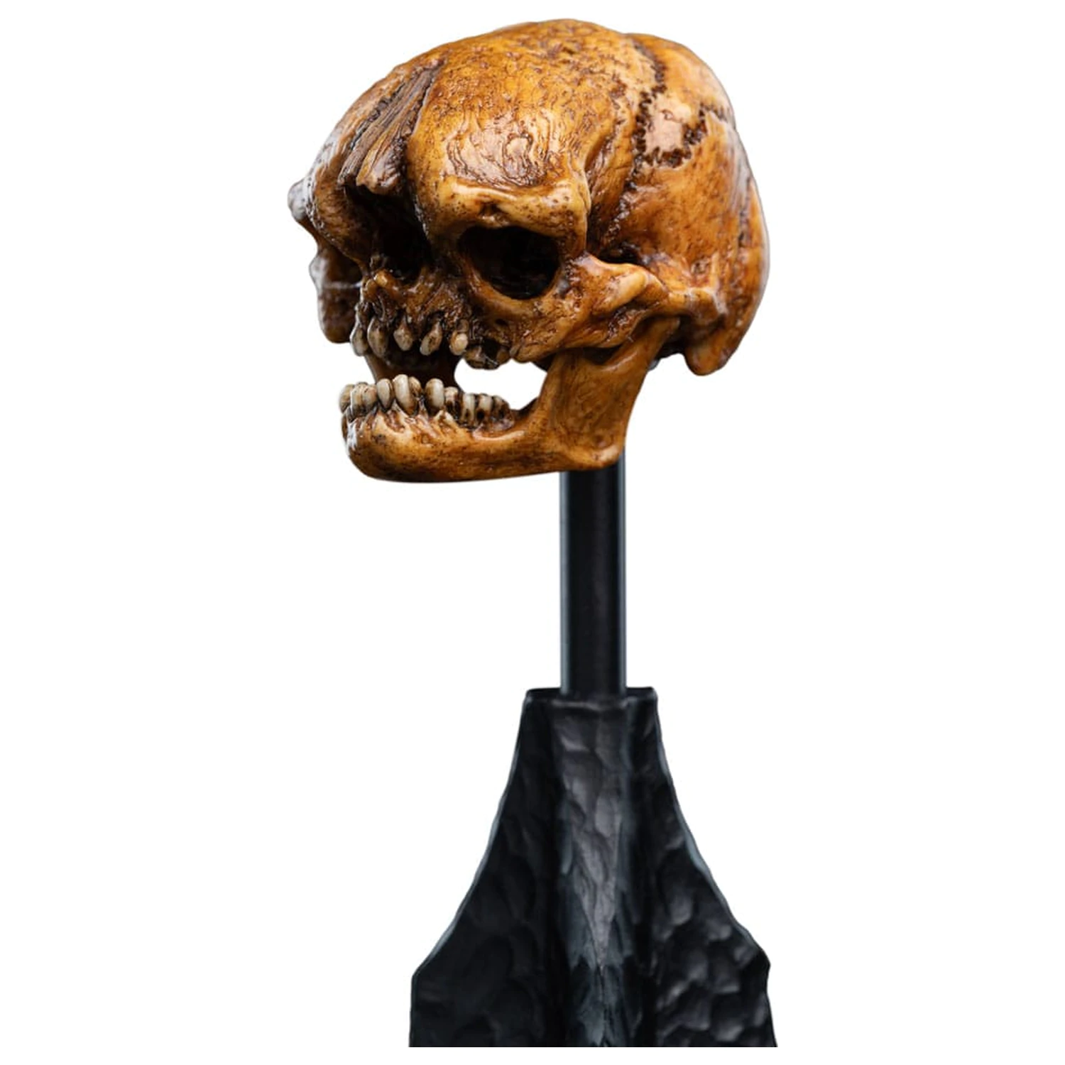 Lord of the Rings Skull of a Misty Mountain Goblin Mini szobor figura 14 cm termékfotó