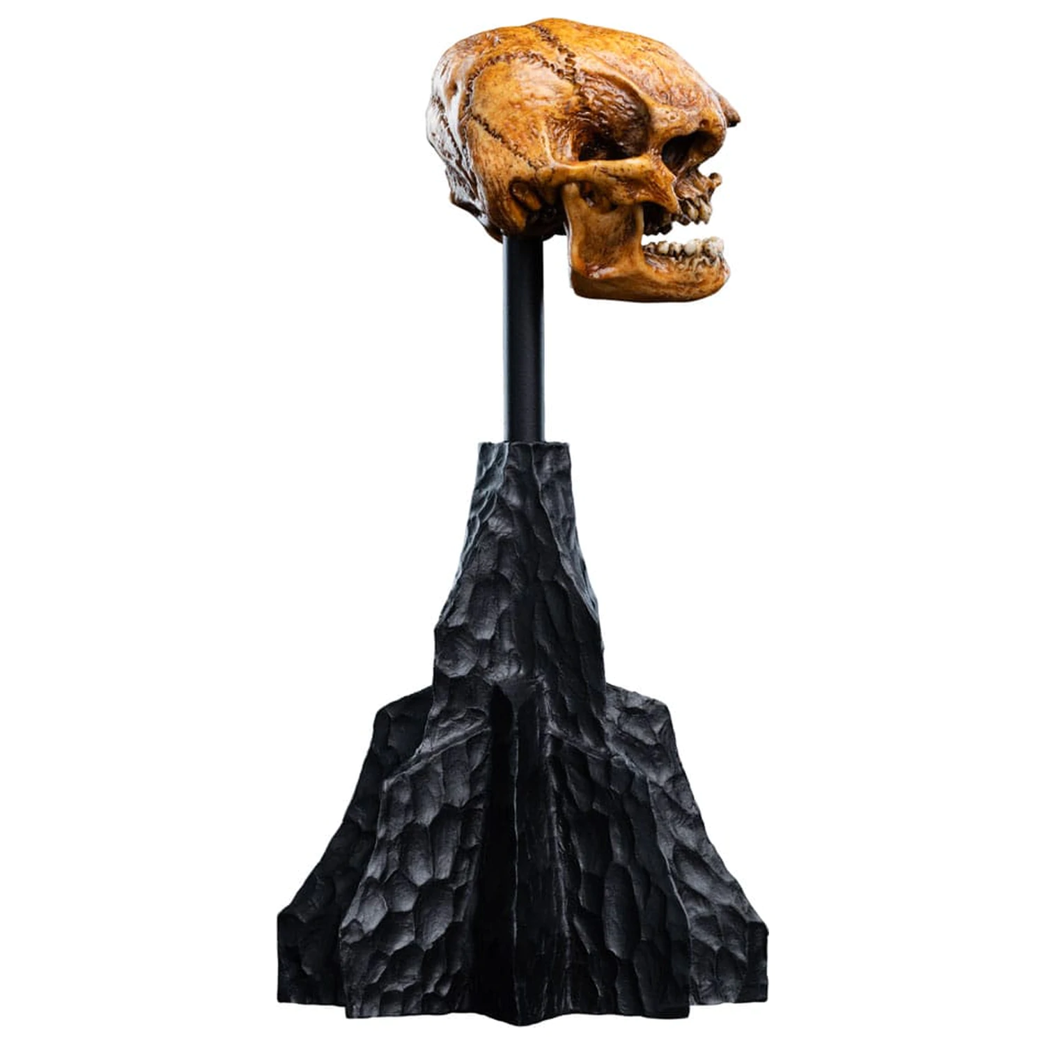 Lord of the Rings Skull of a Misty Mountain Goblin Mini szobor figura 14 cm termékfotó
