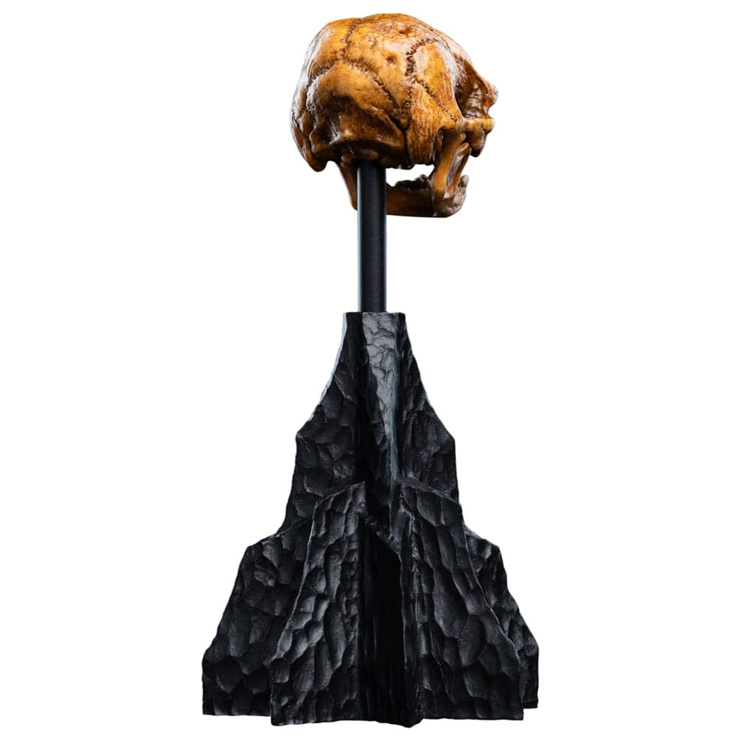 Lord of the Rings Skull of a Misty Mountain Goblin Mini szobor figura 14 cm termékfotó