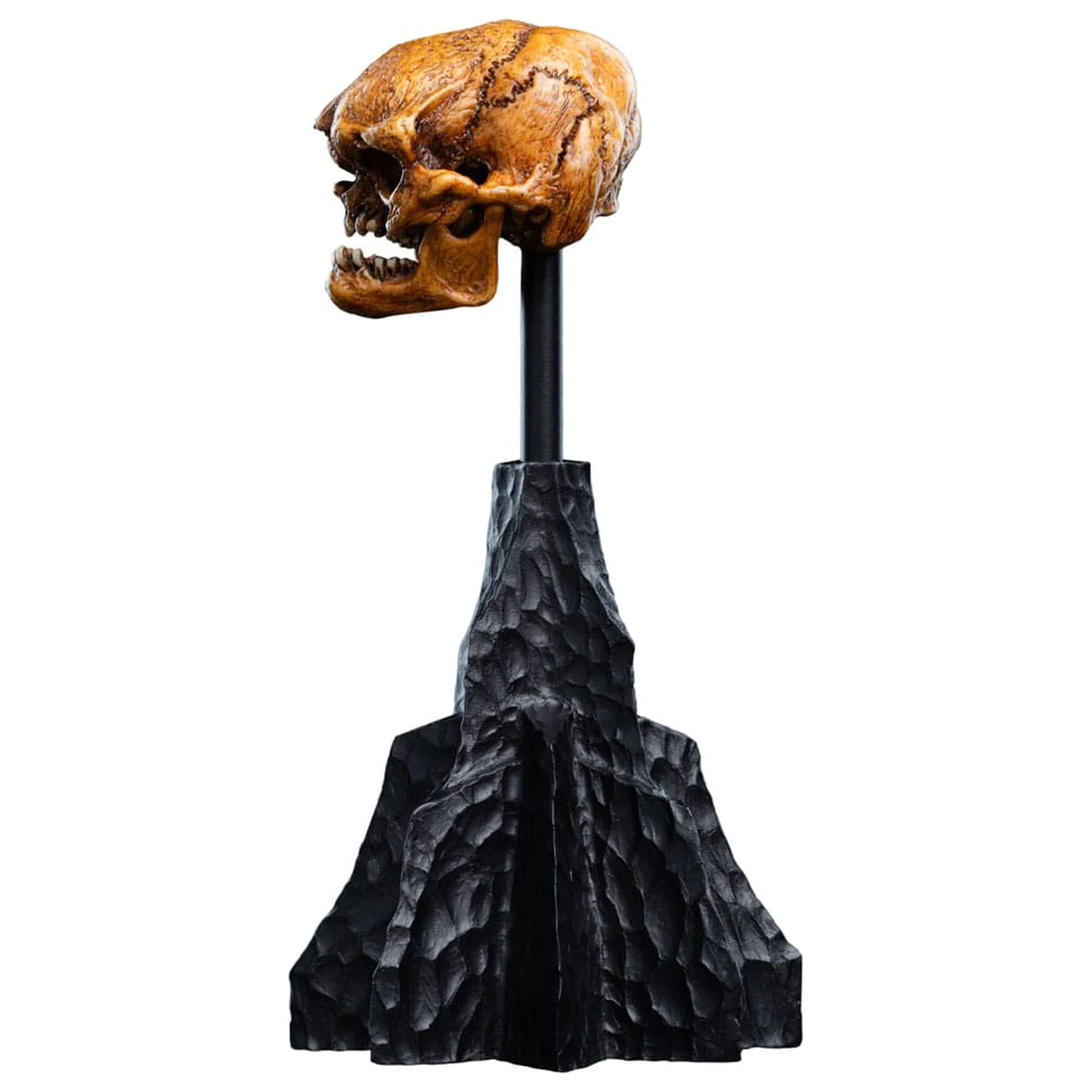 Lord of the Rings Skull of a Misty Mountain Goblin Mini szobor figura 14 cm termékfotó