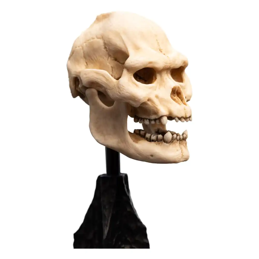 Lord of the Rings Skull of Lurtz Mini szobor figura 14 cm termékfotó