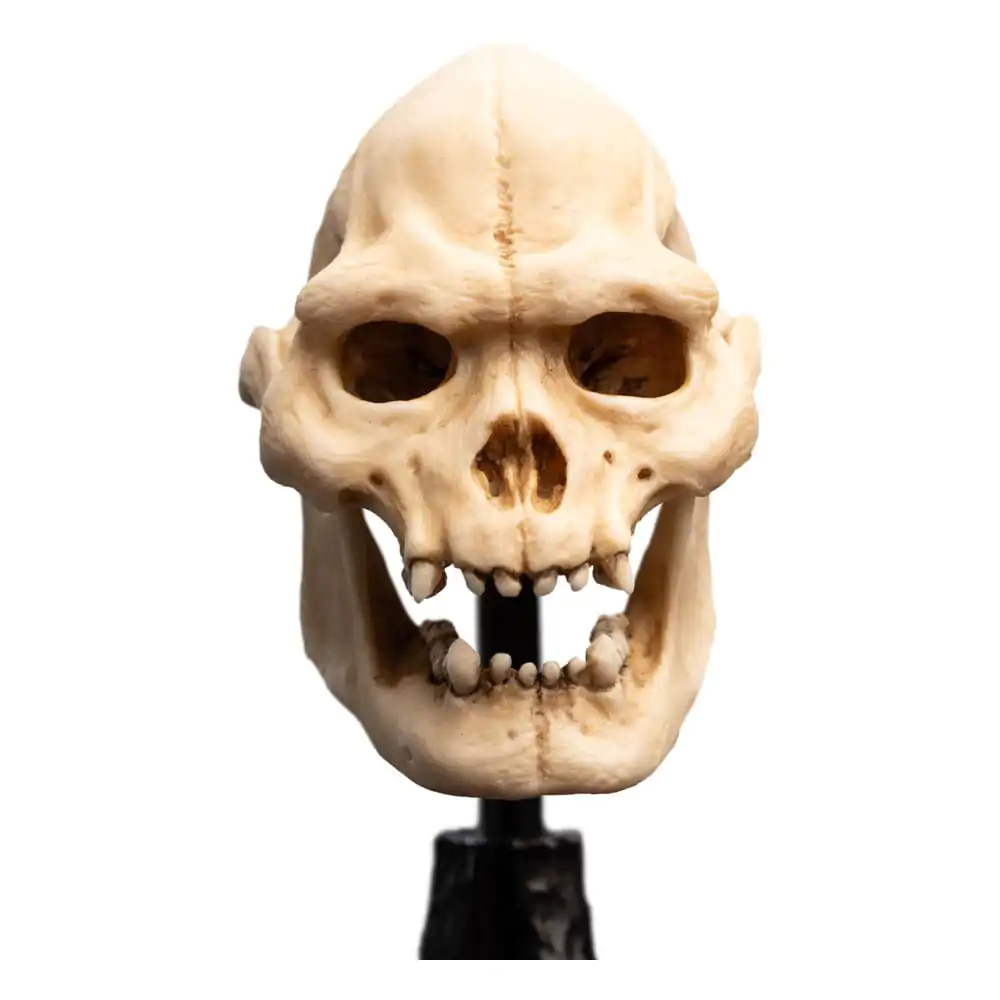 Lord of the Rings Skull of Lurtz Mini szobor figura 14 cm termékfotó