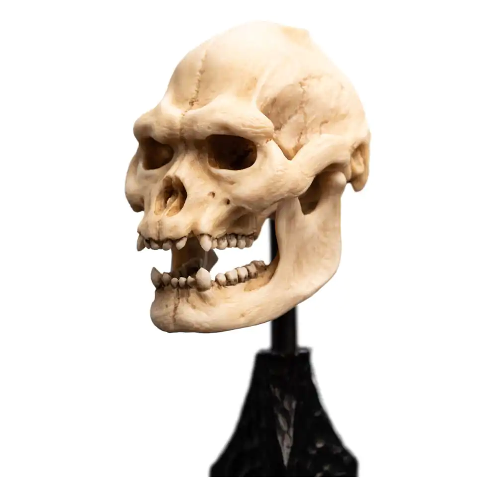 Lord of the Rings Skull of Lurtz Mini szobor figura 14 cm termékfotó