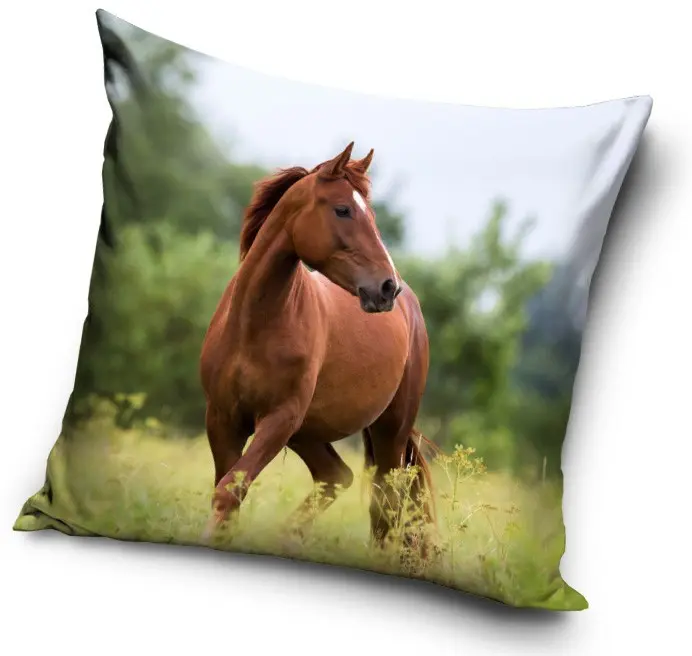Lovas párna, díszpárna 40*40 cm termékfotó
