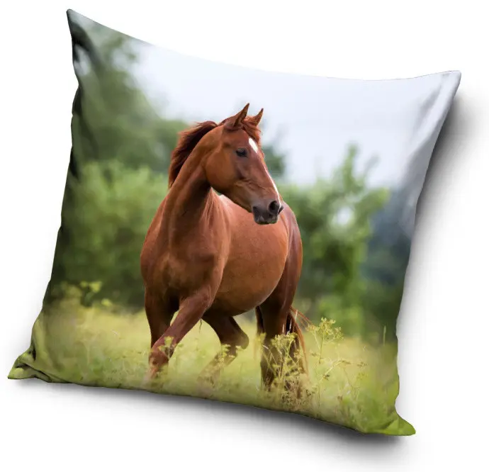 Lovas párnahuzat 40*40 cm termékfotó