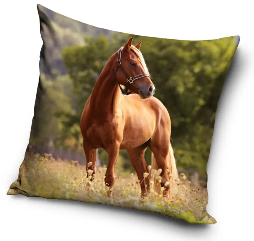 Lovas párnahuzat 40*40 cm termékfotó