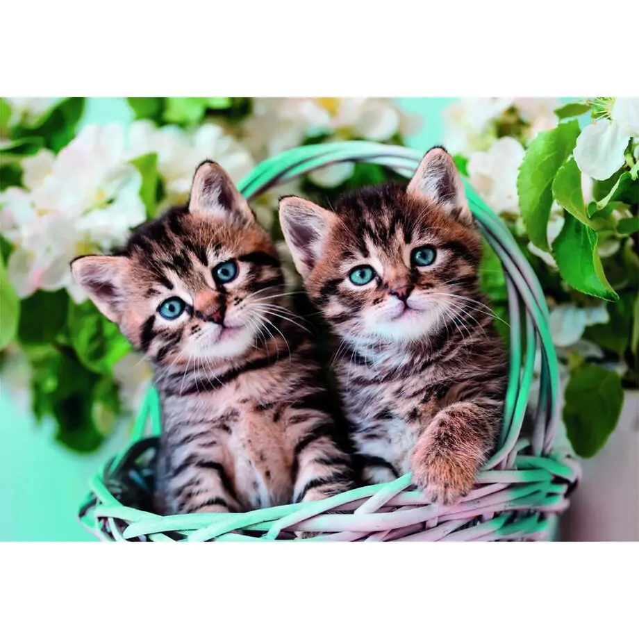 Lovely Kitty Twins puzzle 60db-os termékfotó