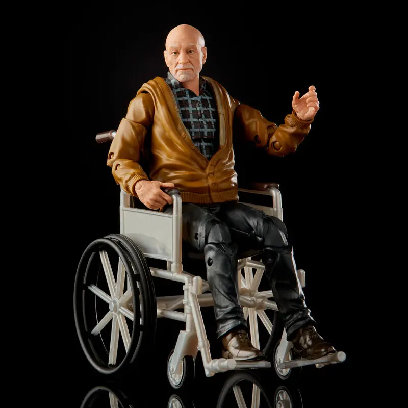 Marvel Legends Series X-Men Logan és Charles Xavier 2db-os figura csomag termékfotó