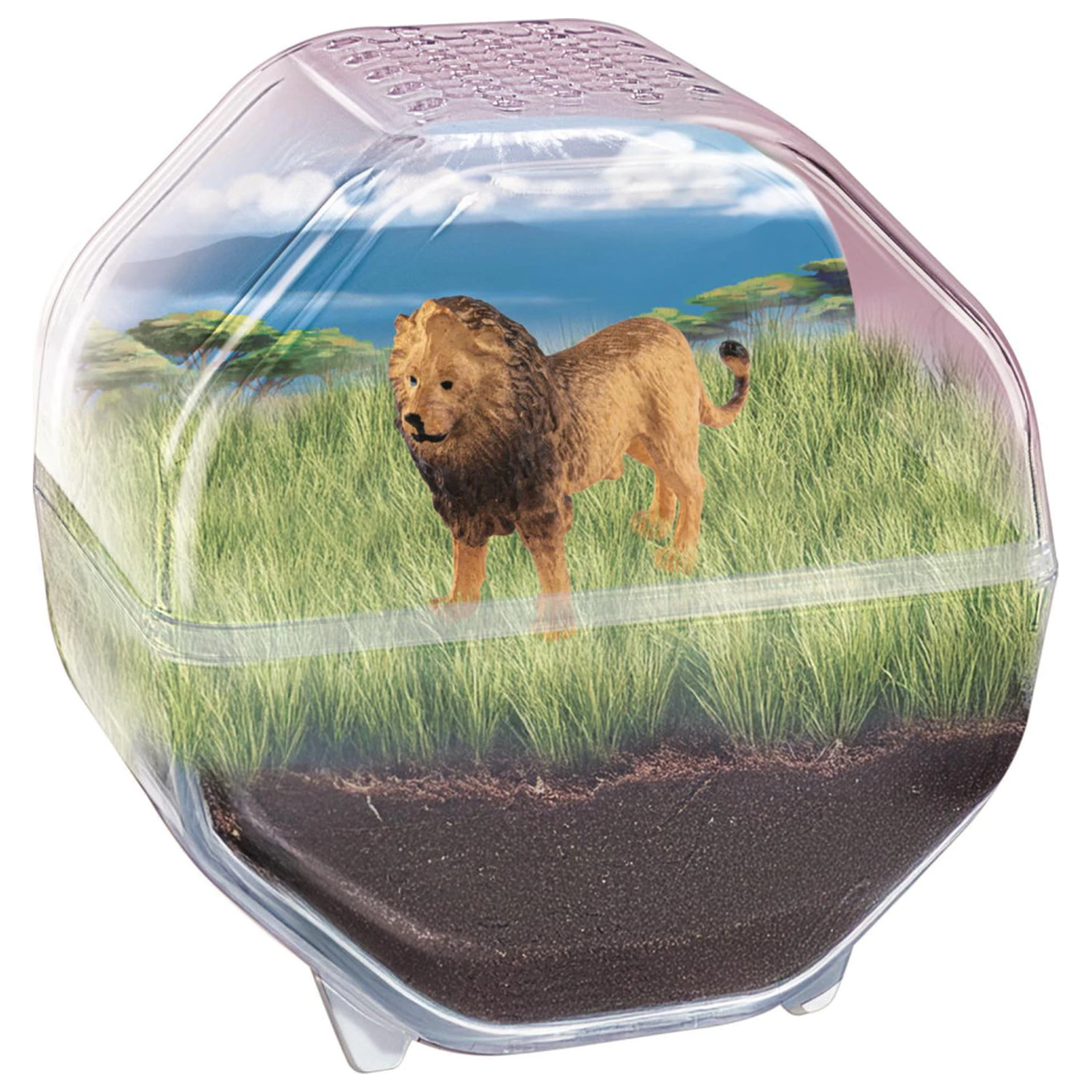 Mini Lion terrárium  termékfotó