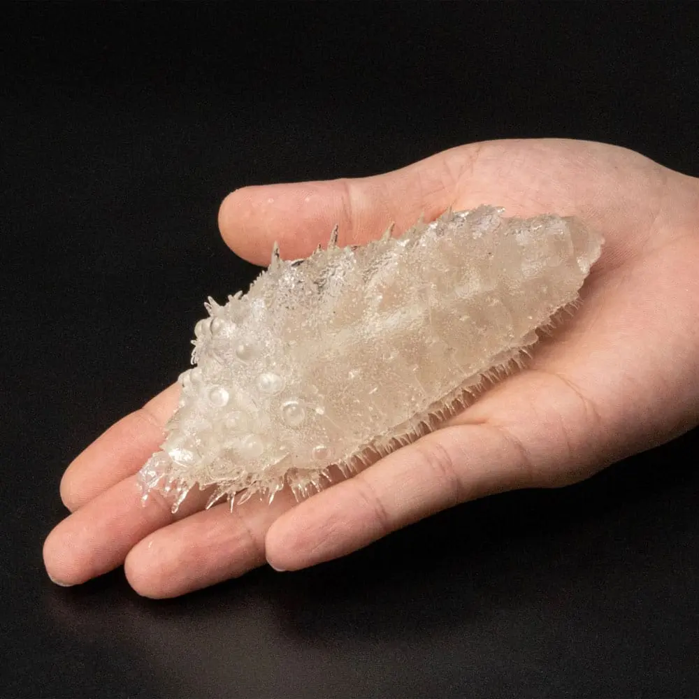 Nausicäa Oumu Clear Ver. PVC szobor figura 11 cm termékfotó