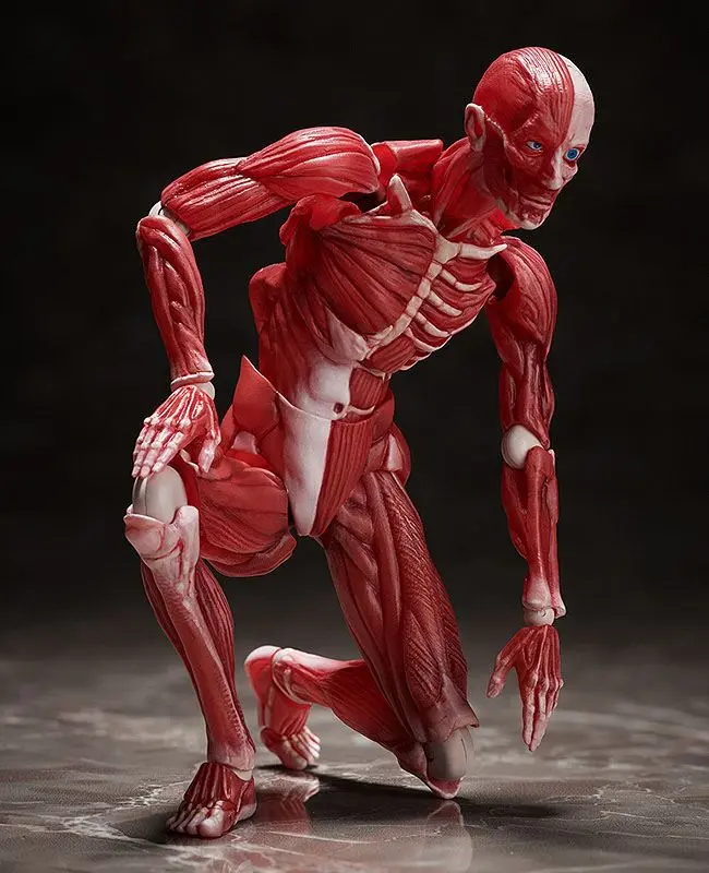Original Character Figma Human Anatomical Model akciófigura 15 cm termékfotó