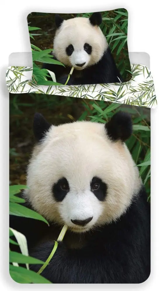 Panda ágyneműhuzat 140×200cm, 70×90 cm termékfotó