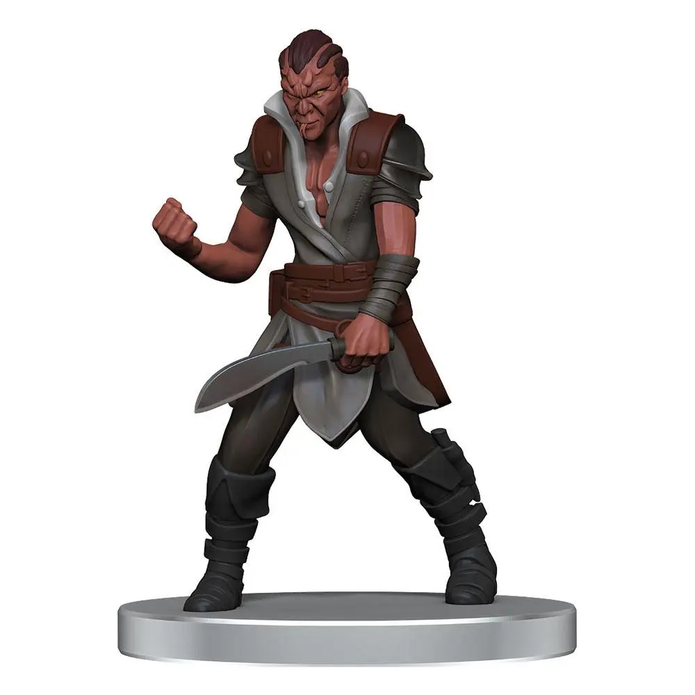 Pathfinder Battles pre-painted Miniatures 8db-os Impossible Lands - Heroes and Villains Boxed csomag termékfotó