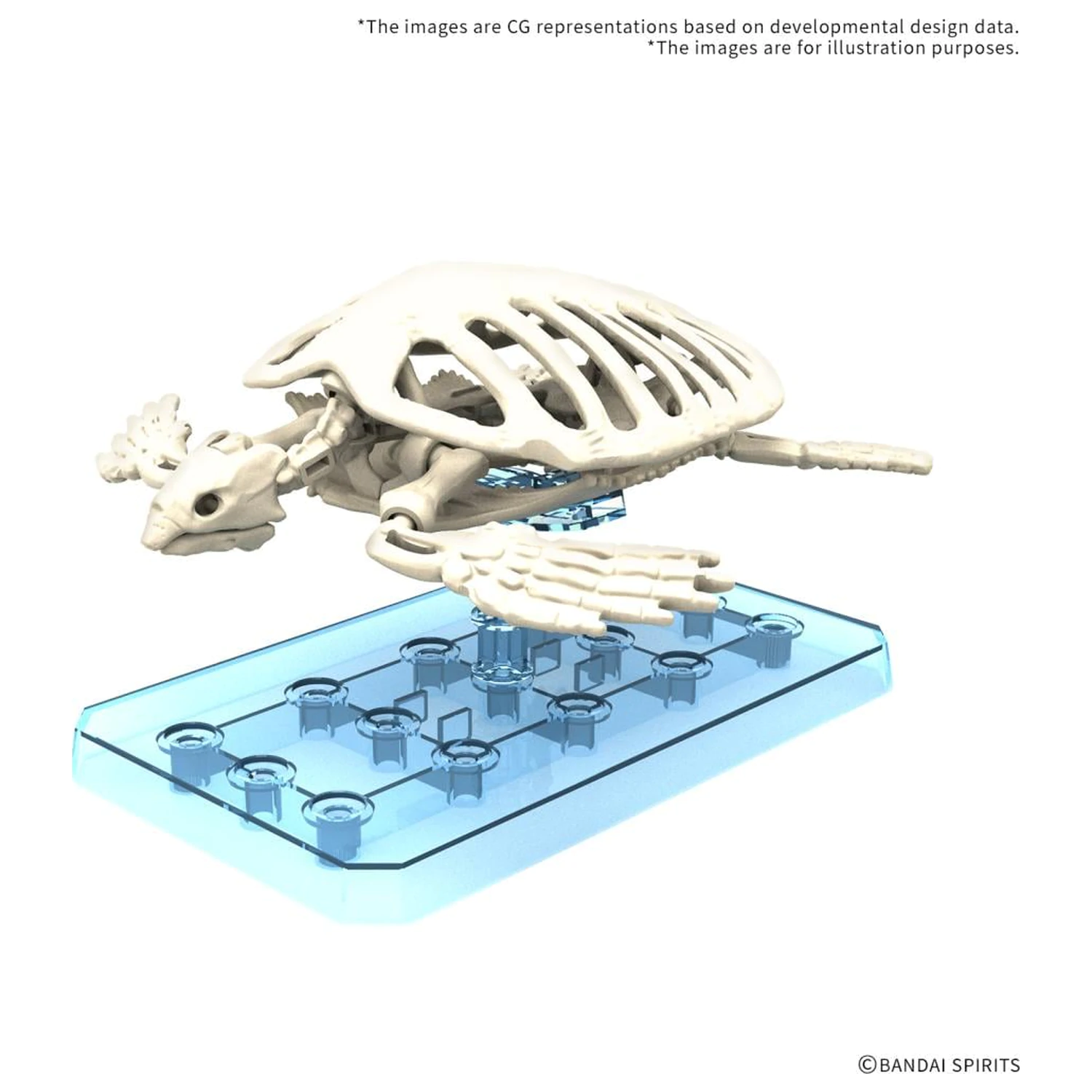 Plannosaurus Archelon modell készlet termékfotó