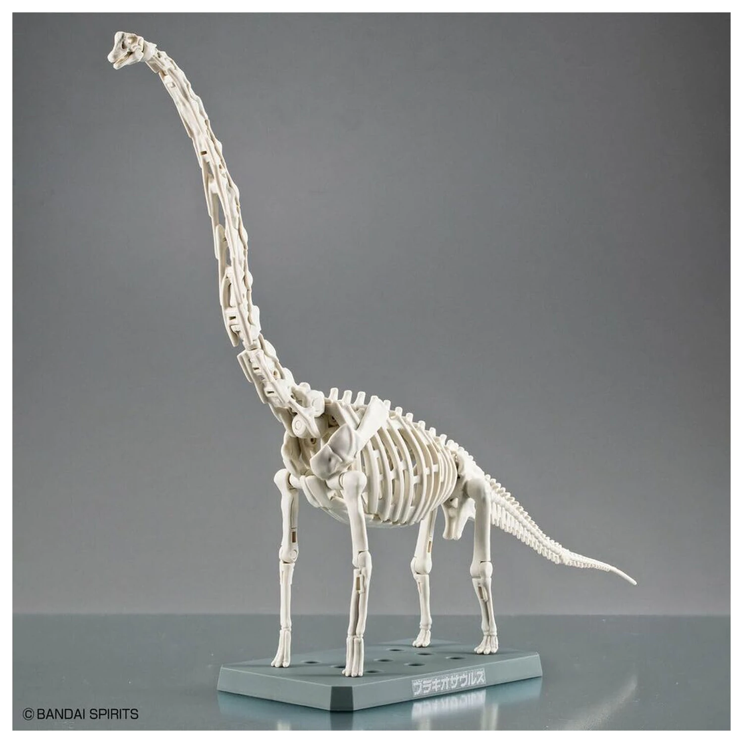 Plannosaurus Brachiosaurus modell készlet  termékfotó