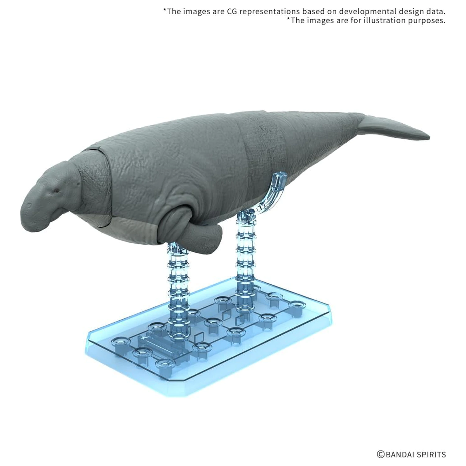 Plannosaurus Hydrodamalis gigas modell készlet termékfotó