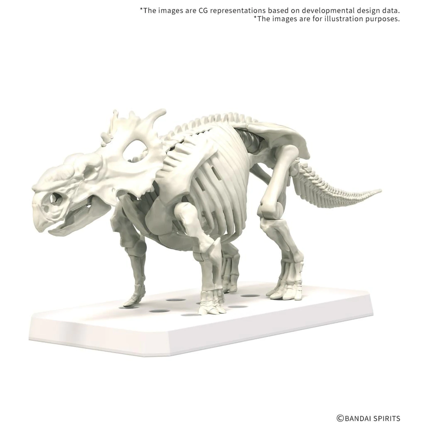 Plannosaurus Pachyrhinosaurus modell készlet termékfotó