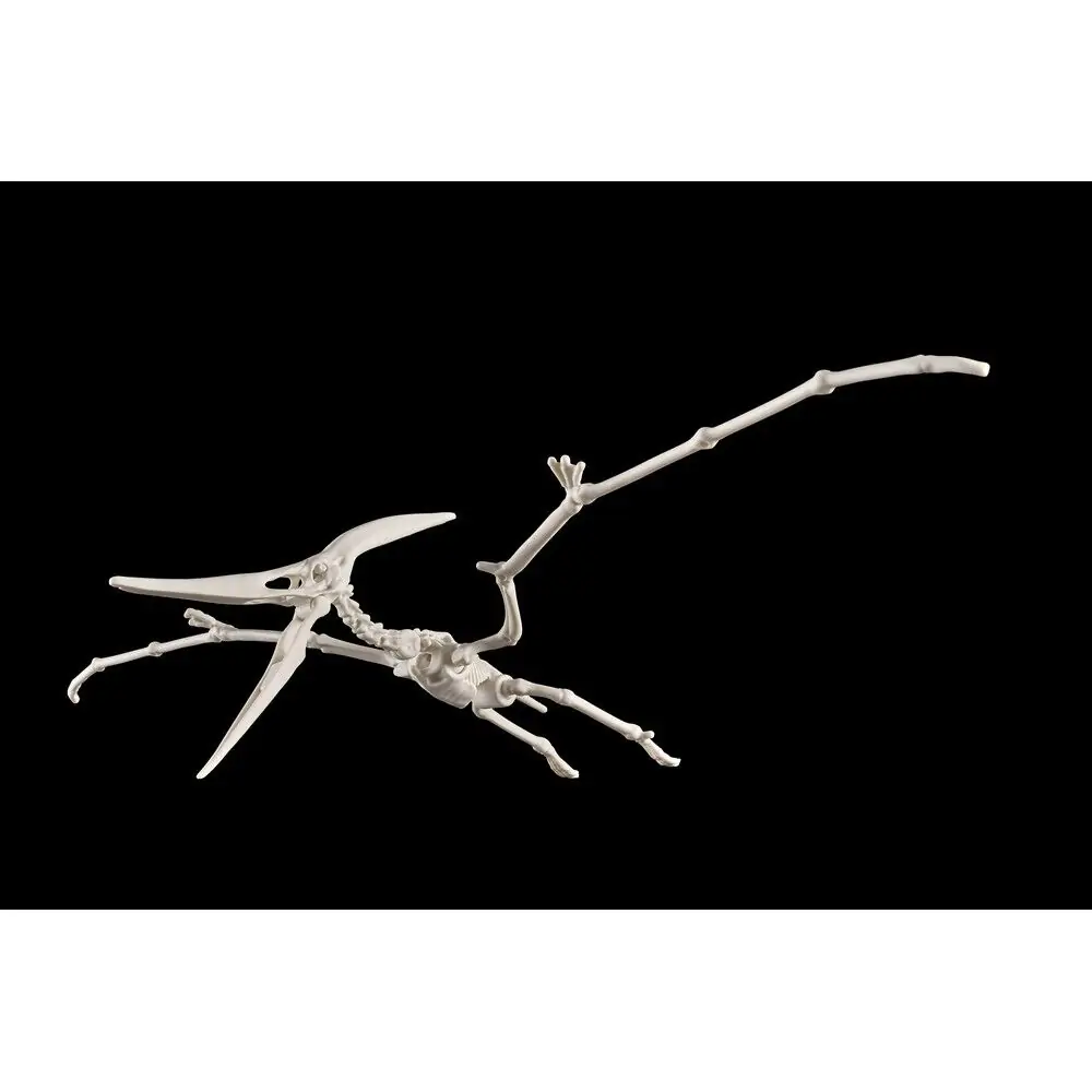 Plannosaurus Pteranodon modell készlet figura termékfotó