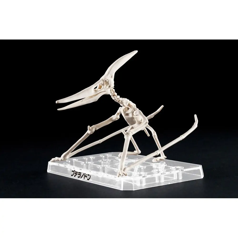 Plannosaurus Pteranodon modell készlet figura termékfotó