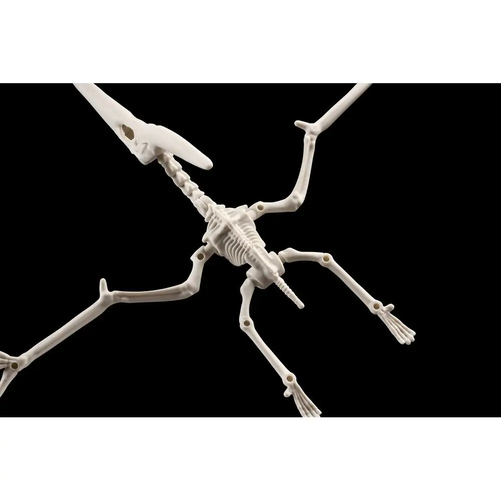 Plannosaurus Pteranodon modell készlet figura termékfotó