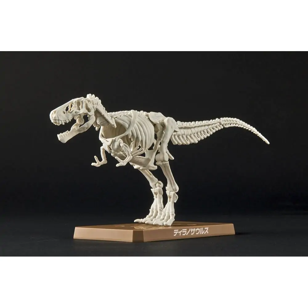 Plannosaurus Tyrannosaurus modell készlet figura termékfotó