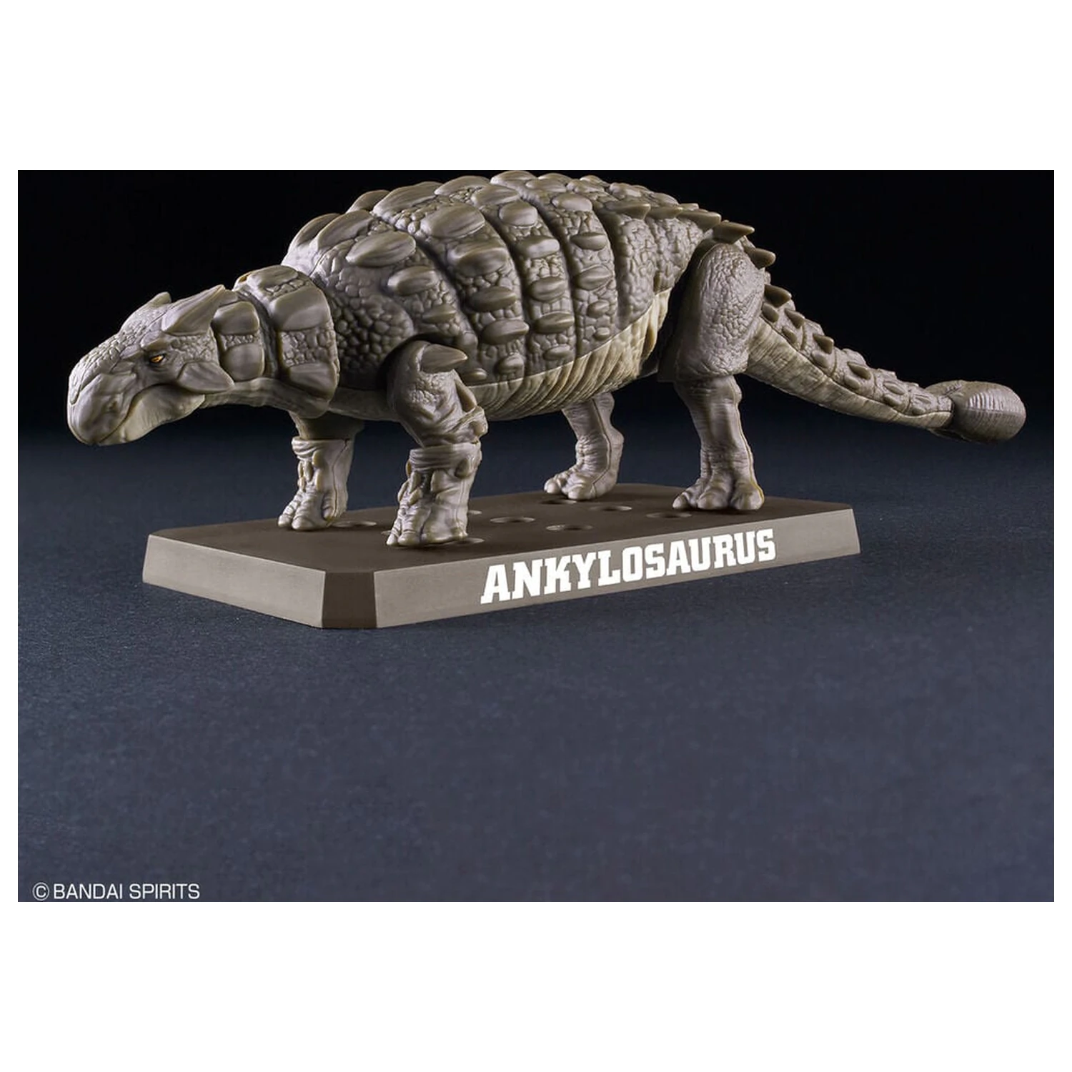 Planosaurus Ankylosaurus modell készlet termékfotó