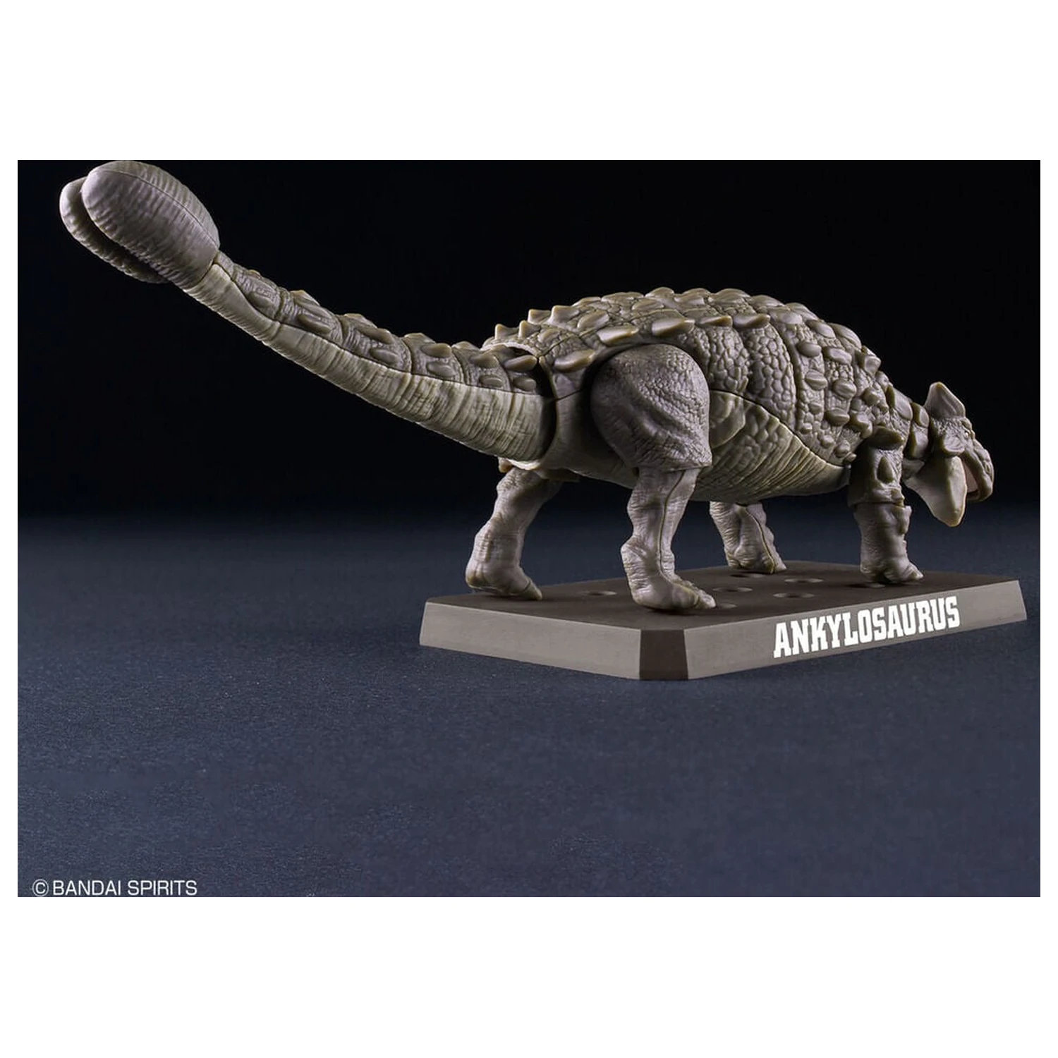 Planosaurus Ankylosaurus modell készlet termékfotó