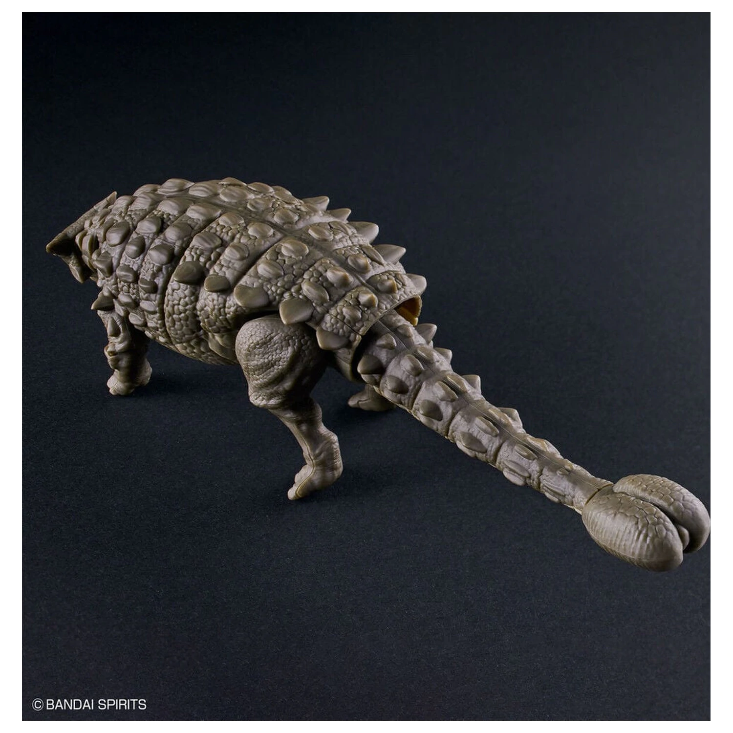 Planosaurus Ankylosaurus modell készlet termékfotó