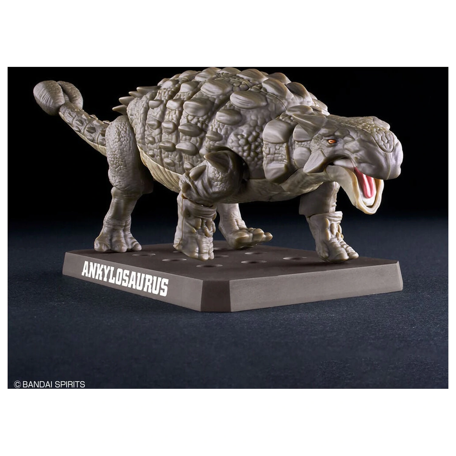 Planosaurus Ankylosaurus modell készlet termékfotó