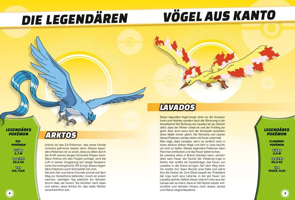 Pokémon Book Legendär und mysteriös Német nyelvű termékfotó