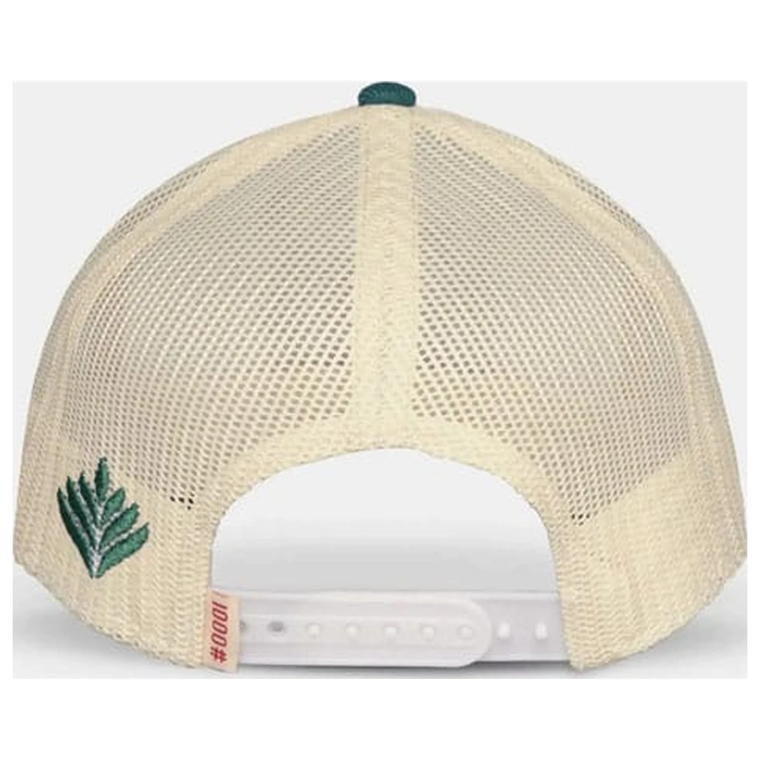 Pokémon Bulbasaur Baseball sapka  termékfotó