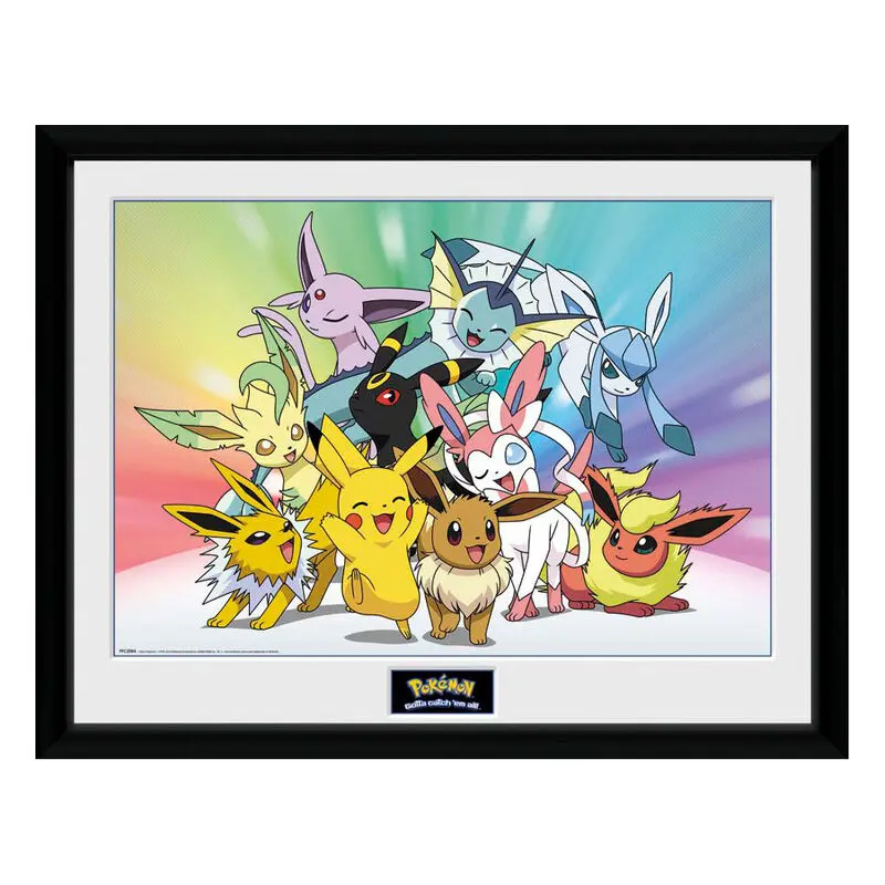Pokemon Eevee Bekeretezett Fotó termékfotó