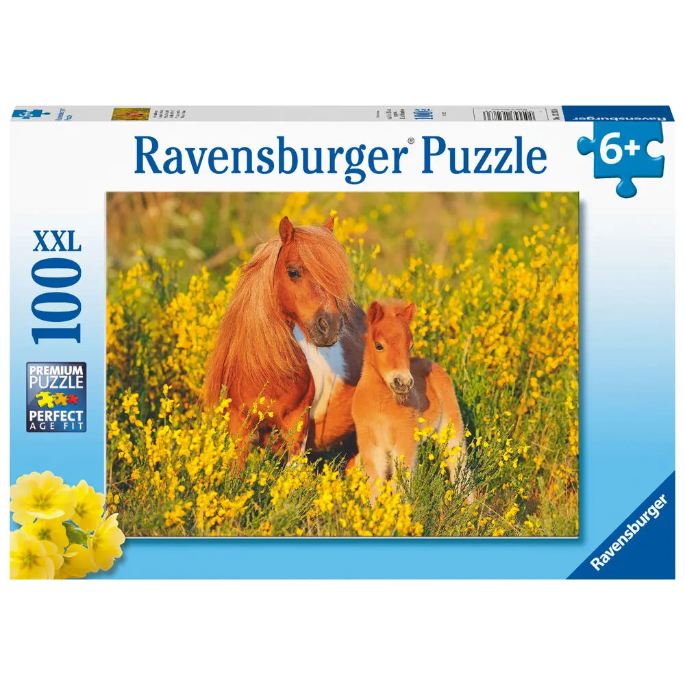 Pony Shetland XXL puzzle 100db-os termékfotó