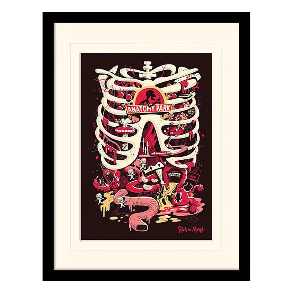 Rick and Morty Collector Print Anatomy Park (white background) keretezett poszter termékfotó