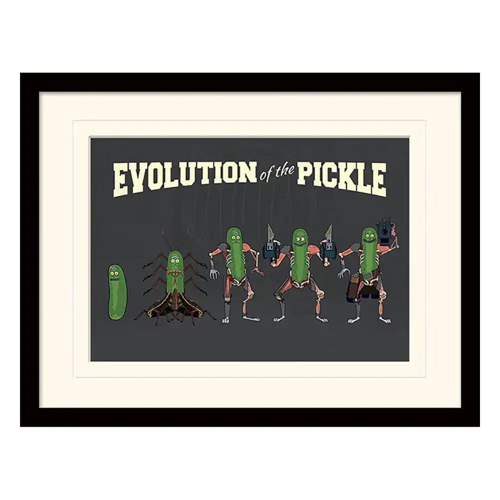 Rick and Morty Collector Print Evolution of the Pickle (white background) keretezett poszter termékfotó