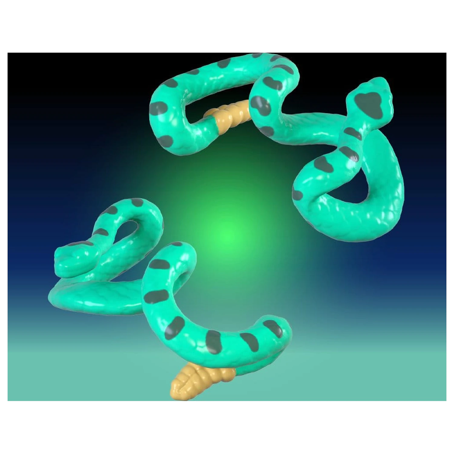 Rover Robin Műanyag Overtakes Skull Rider modell készlet  termékfotó