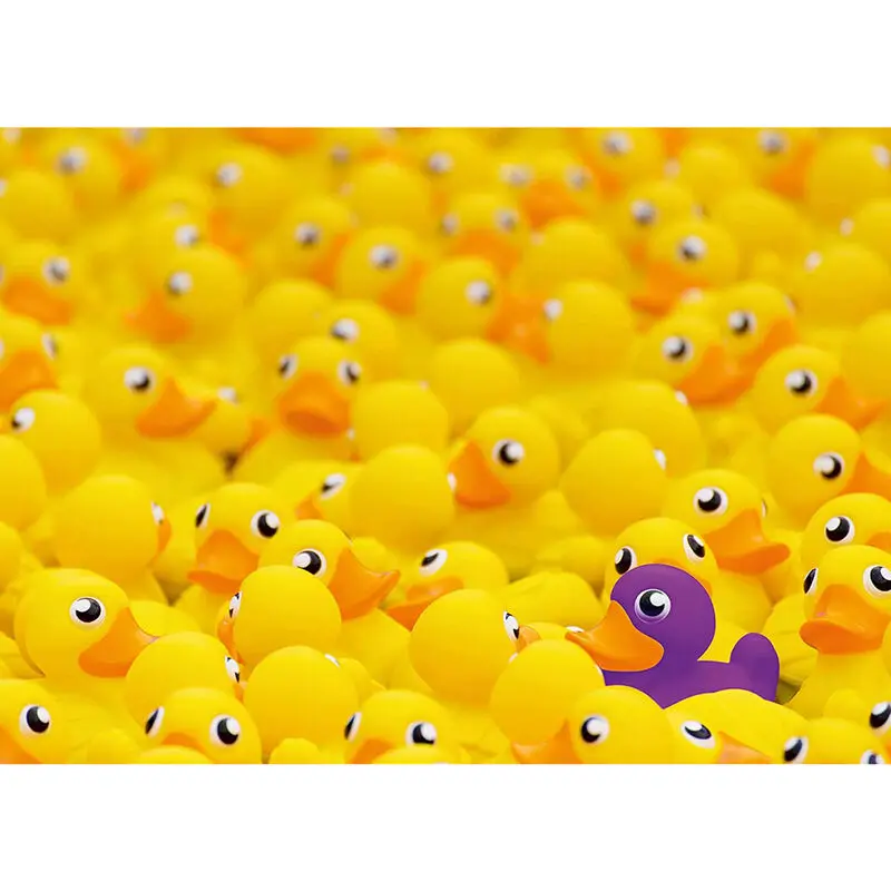 Rubber ducks puzzle 1000db-os termékfotó