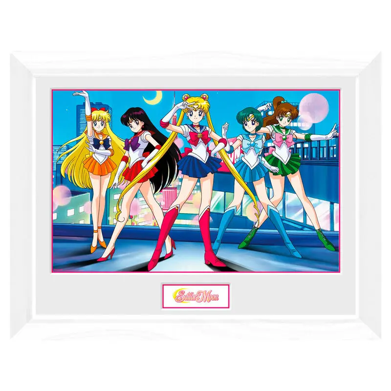 Sailor Moon Group bekeretezett poszter termékfotó