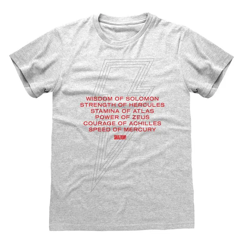 Shazam! Fury of the Gods Vows póló termékfotó