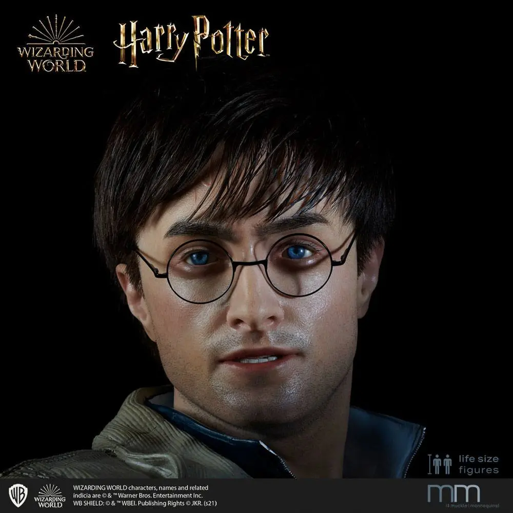 Silicone head for the Harry Potter termékfotó