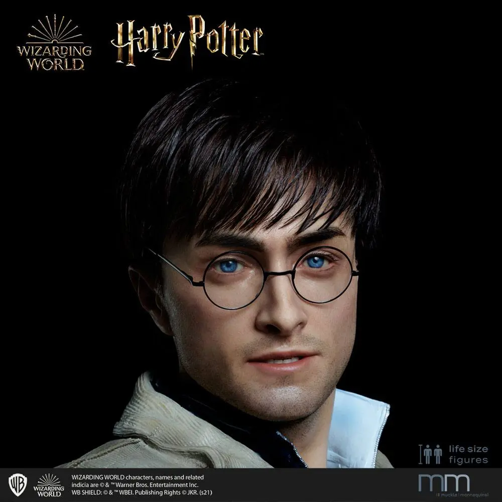 Silicone head for the Harry Potter termékfotó